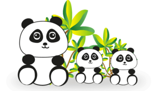 Panda image